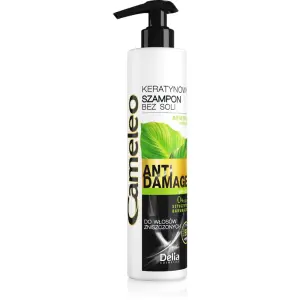 Delia Cameleo Hair Szampon do włosów keratynowy bez soli 250ml