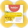 Bolsius True Scents Podgrzewacz zapachowy  Maxi Mimosa 8szt-26352