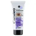 Delia Cameleo Odżywka do włosów blond i siwych Anty- żółty efekt 200ml-25654