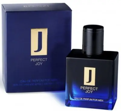 FENZI Men PERFECT JOY  Edp 100 ml-8433